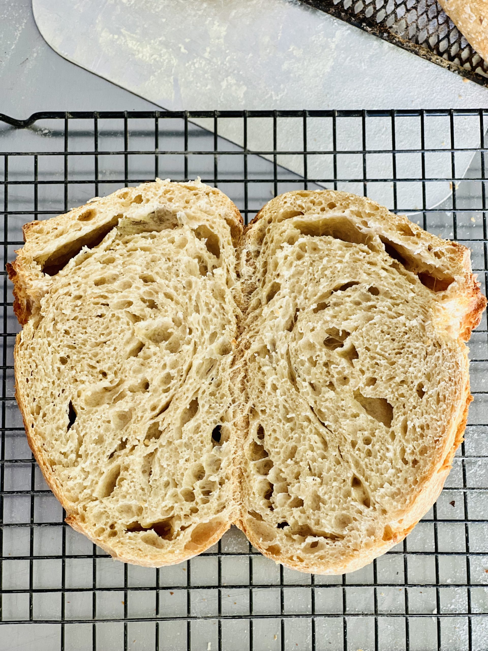 history-of-sourdough-bread-crumbs-the-bakers