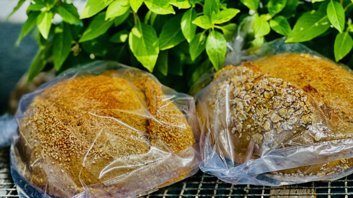 sourdough breads in lahore