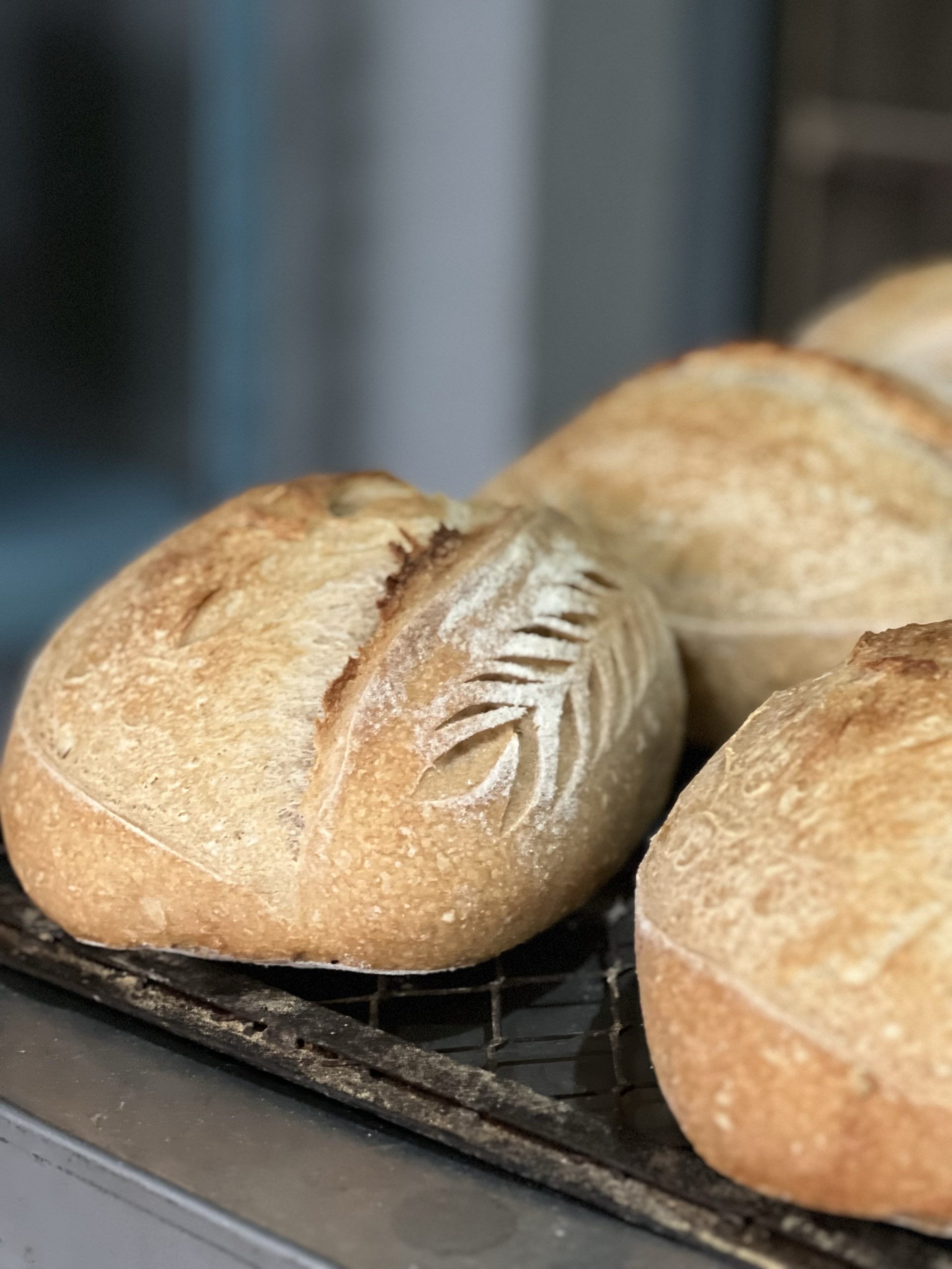 Get to know the sourdough bread Crumbs The Bakers