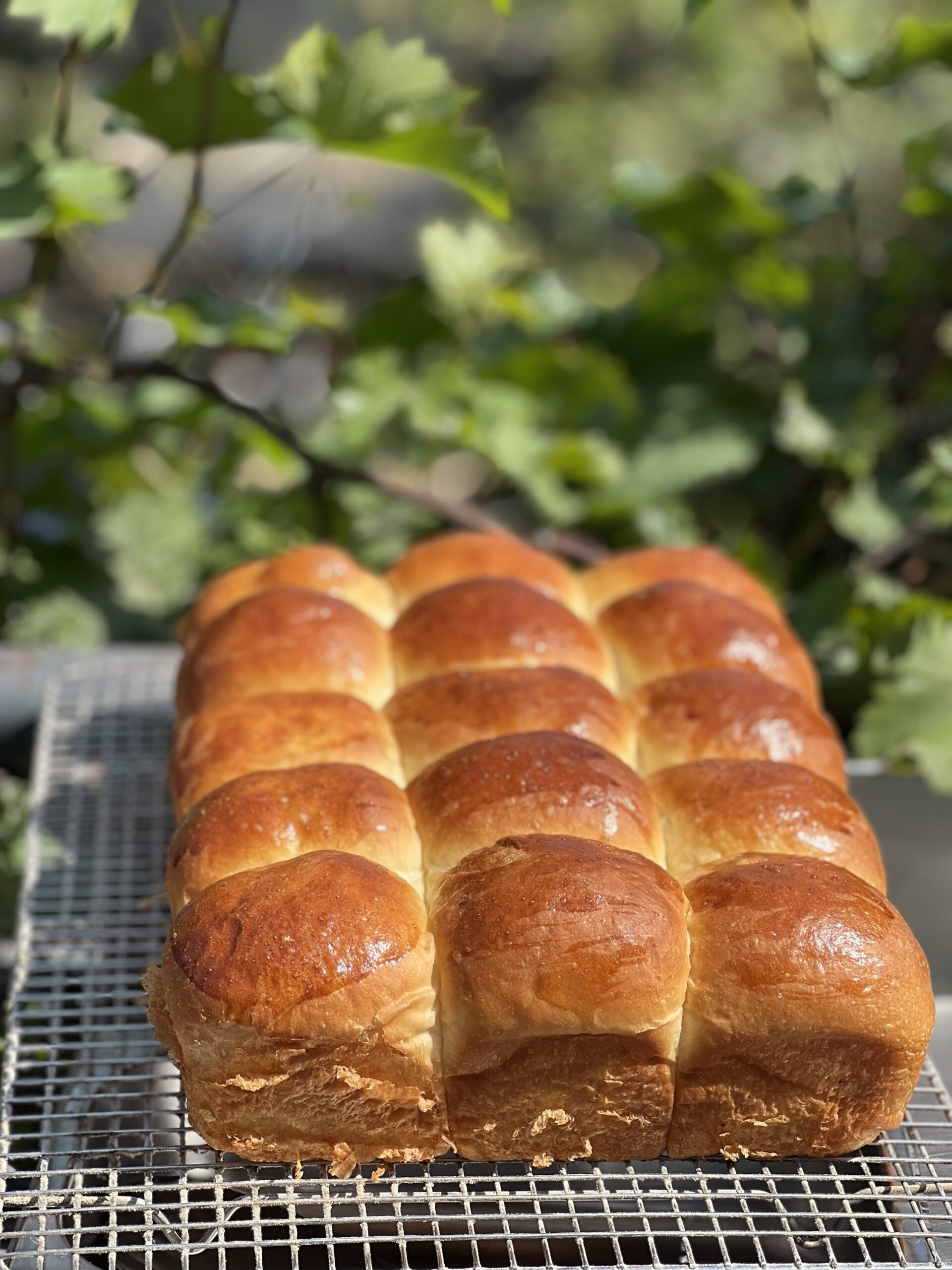 SourdoughBbrioche sliders (pack of 15)