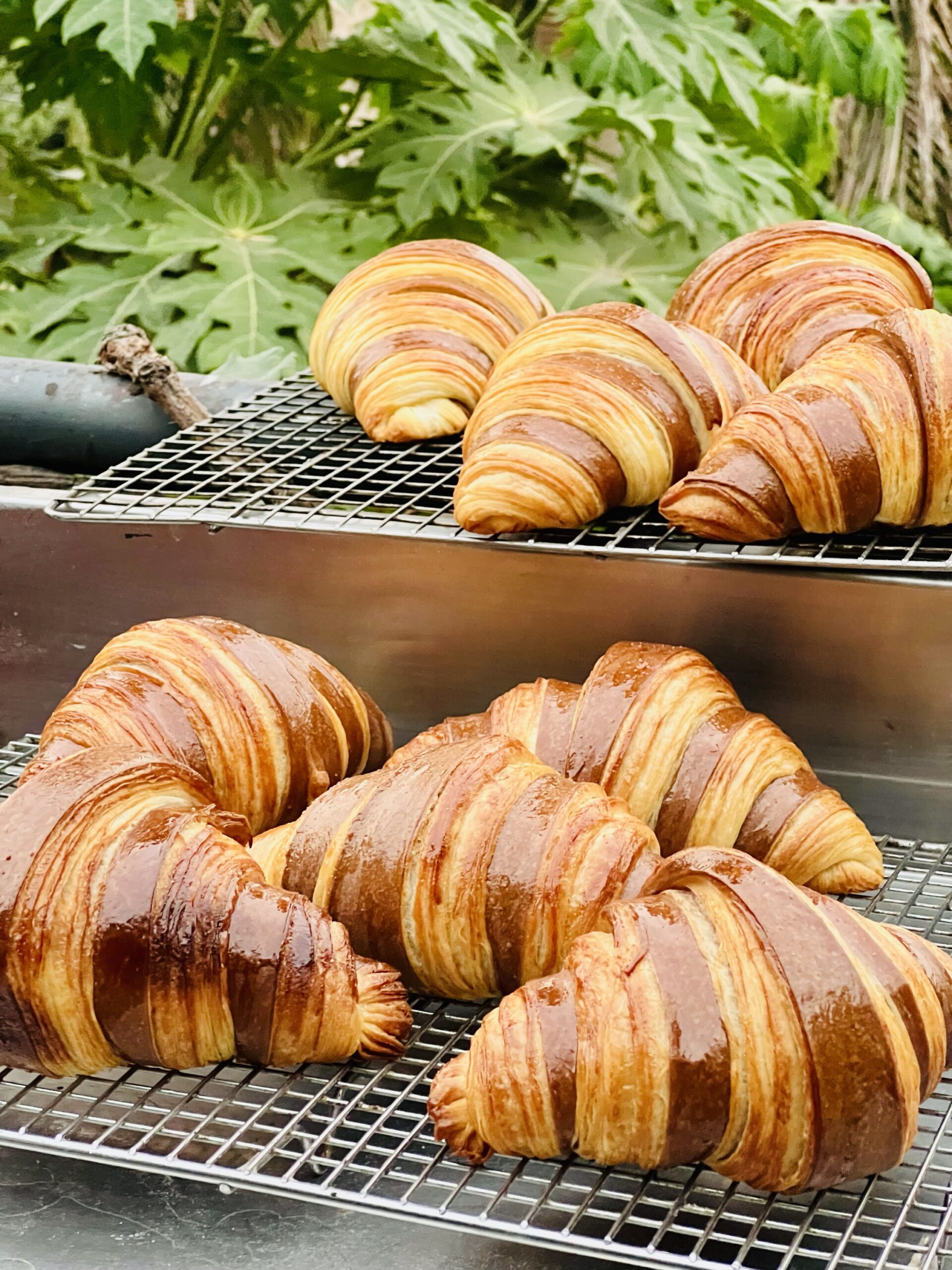 Sourdough Croissant (Standard Size) - Image 3