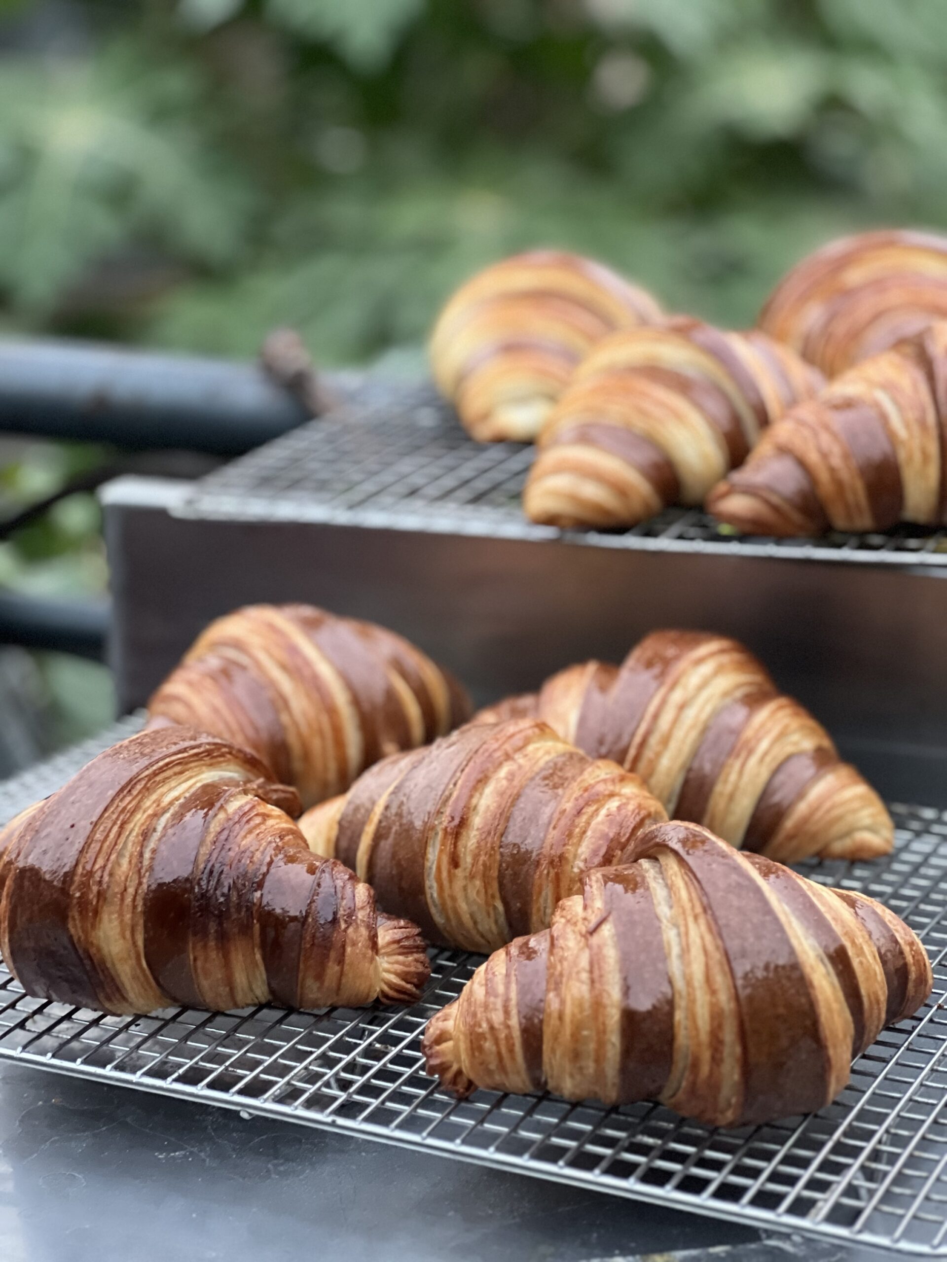Sourdough Croissant (Standard Size)