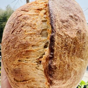 Whole Wheat Sourdough Bread