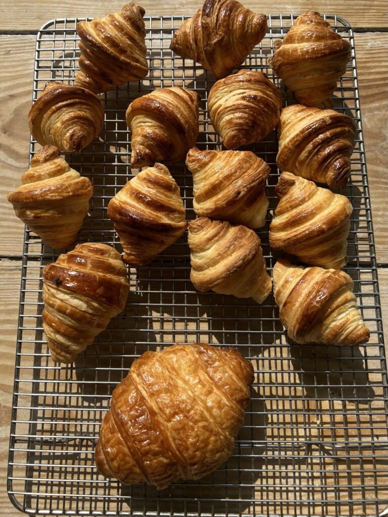 Sourdough Croissants large